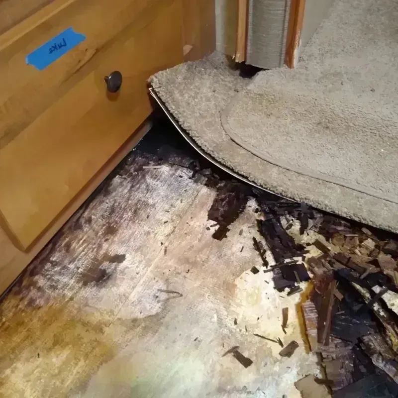 Best Wood Floor Water Damage Service in Suitland, MD